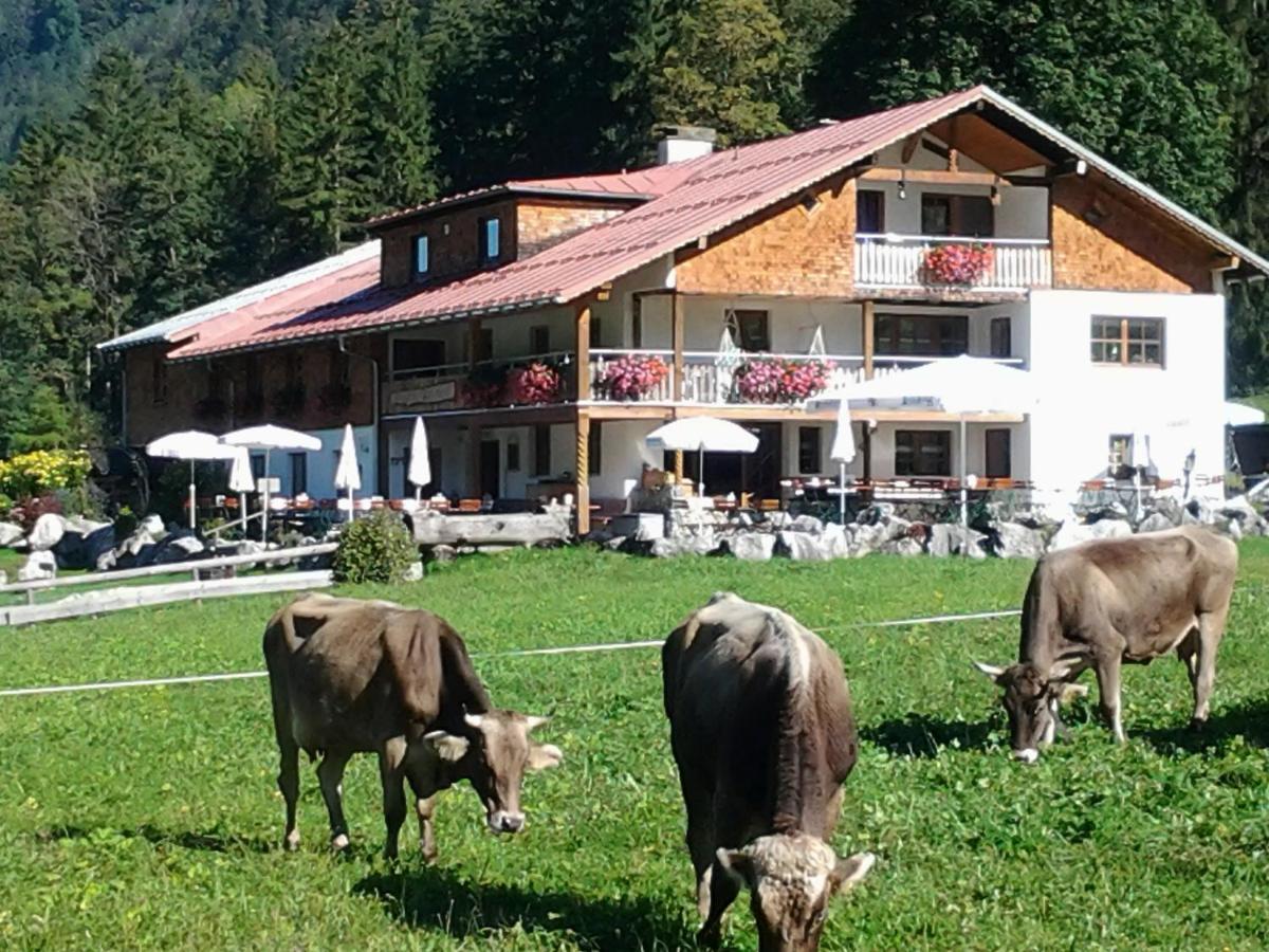 Berggasthof Riefenkopf Oberstdorf Dış mekan fotoğraf
